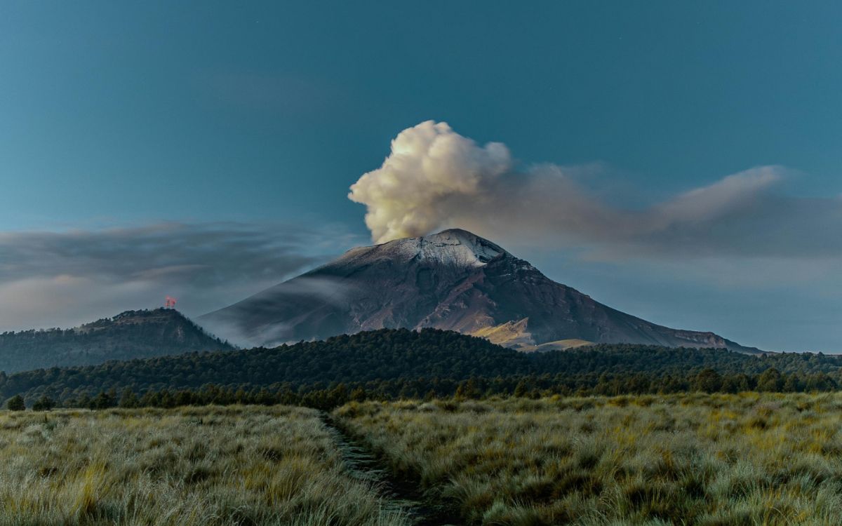 Bosques del futuro | Izta-Popo: bosques que sostienen el futuro del Valle de México (Pt. 2)