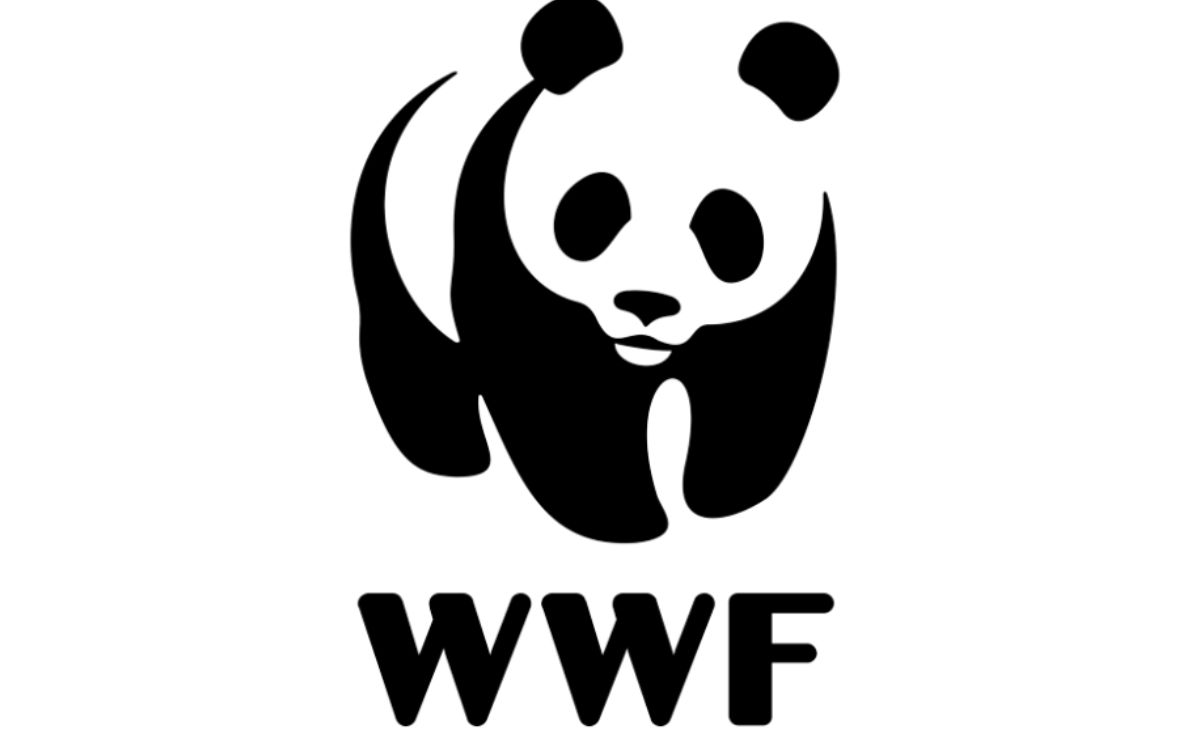 Conoce a Pilar Jacobo, la nueva Directora de Conservación de WWF México