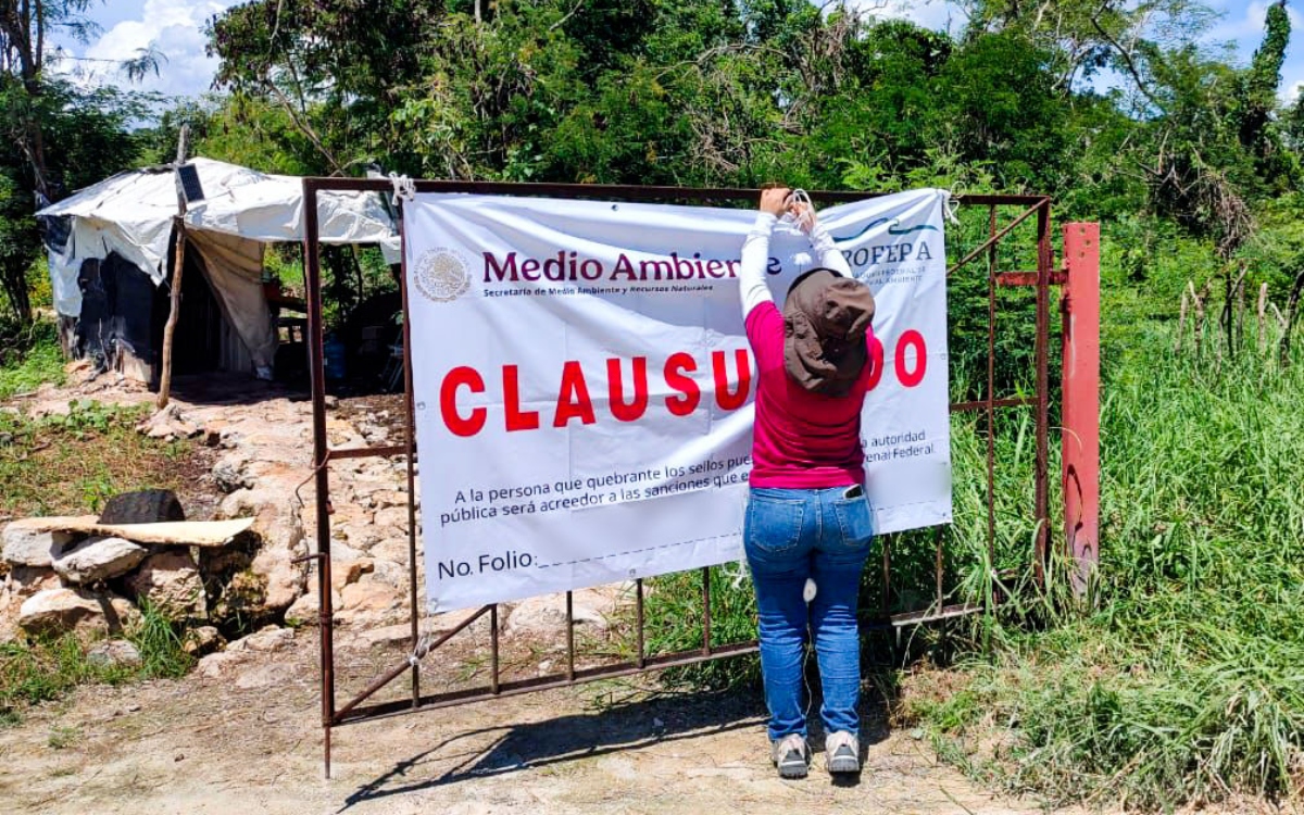 Profepa impone una clausura total definitiva a la granja porcícola en Mérida, Yucatán Profepa impone una clausura total definitiva a la granja porcícola en Mérida, Yucatán