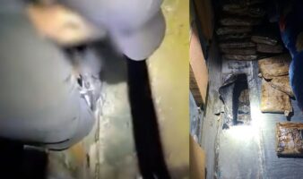 Caen dos en Sonora por trasladar heroína y fentanilo en autobús de pasajeros | Video