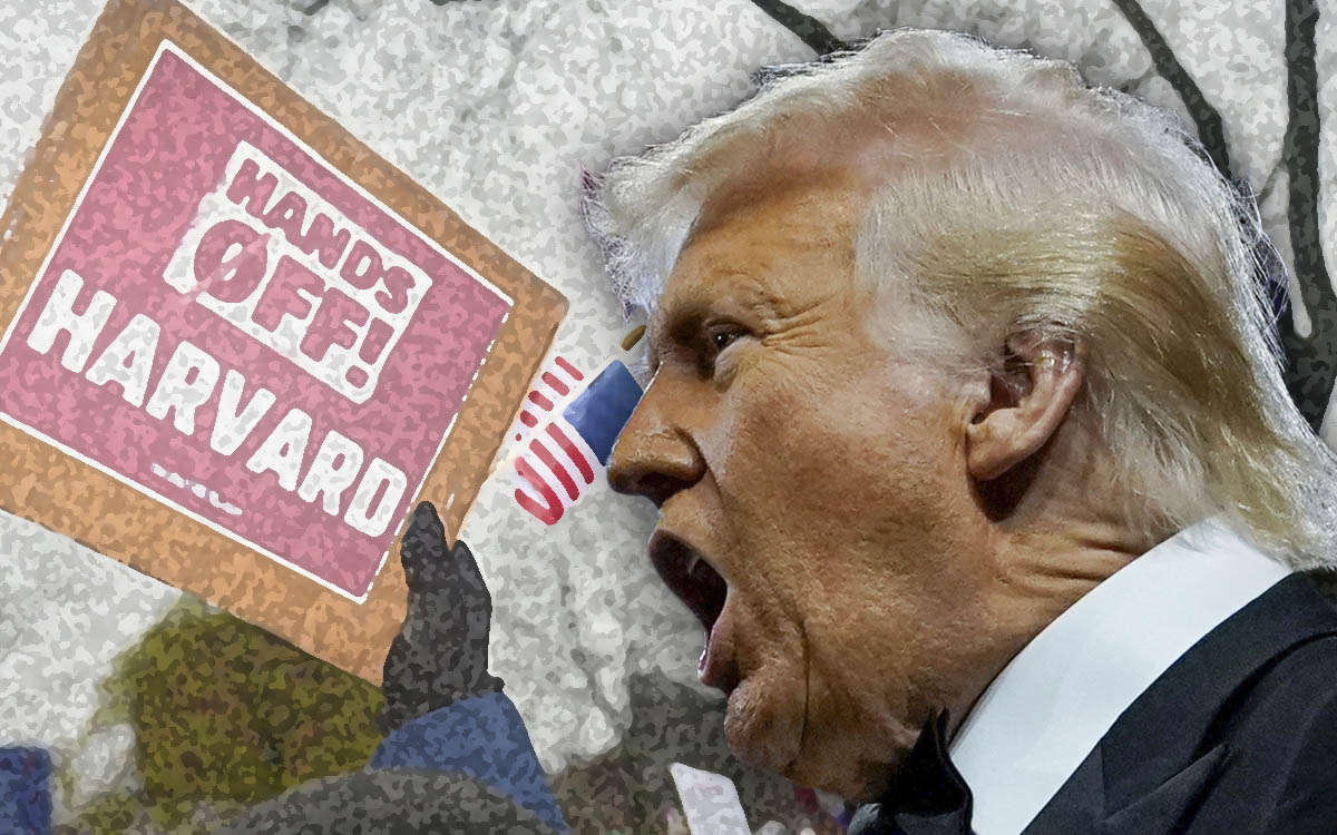 Jueza declara ilegal la suspensión de fondos de investigación de Trump a Harvard Jueza declara ilegal la suspensión de fondos de investigación de Trump a Harvard