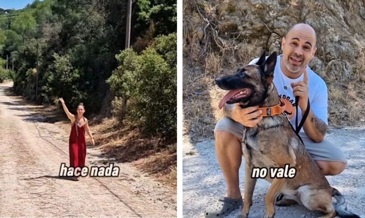 Por qué no deberías soltar a tu perro en espacios compartidos, según un experto en conducta Por qué no deberías soltar a tu perro en espacios compartidos, según un experto en conducta