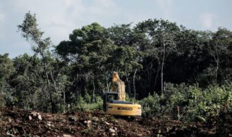 Semanart se está convirtiendo en el aval de la devastación: Greenpeace México