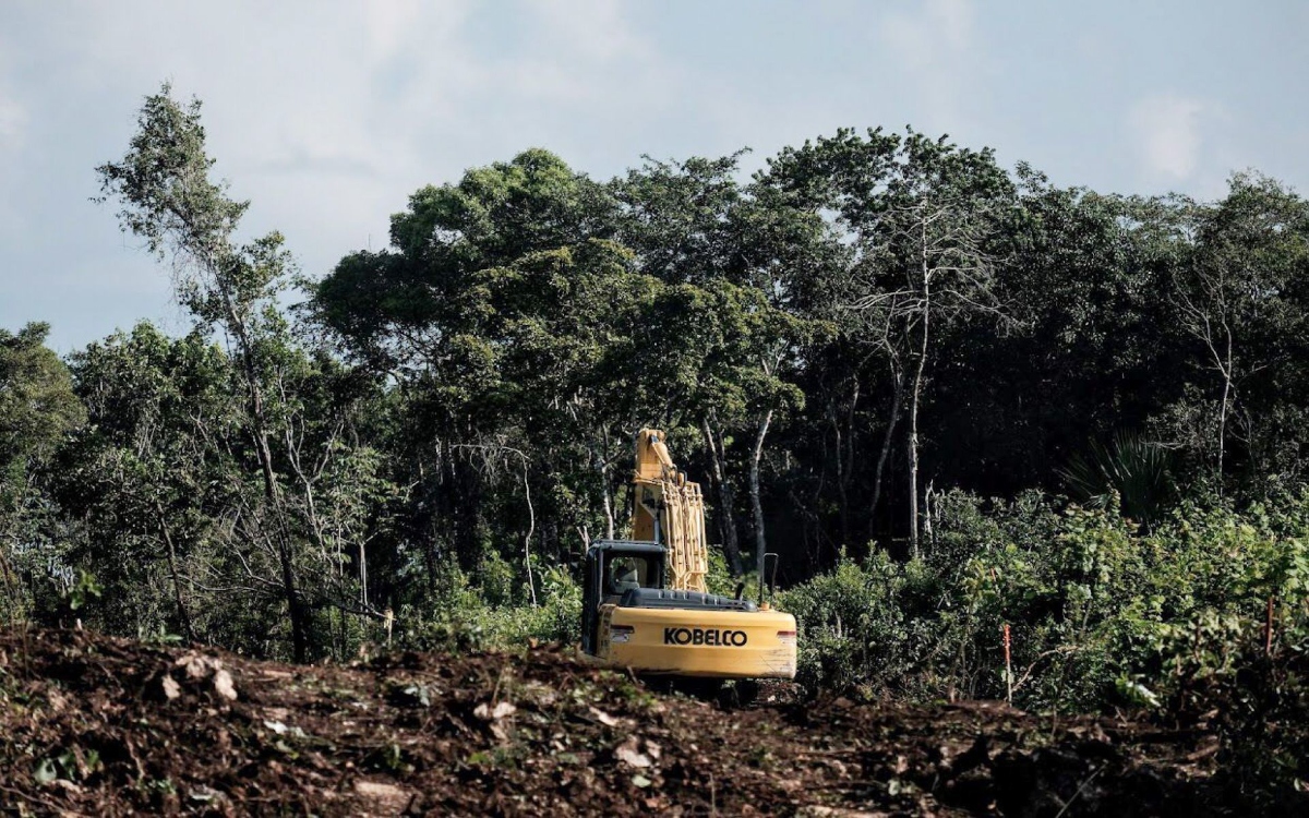 Semanart se está convirtiendo en el aval de la devastación: Greenpeace México