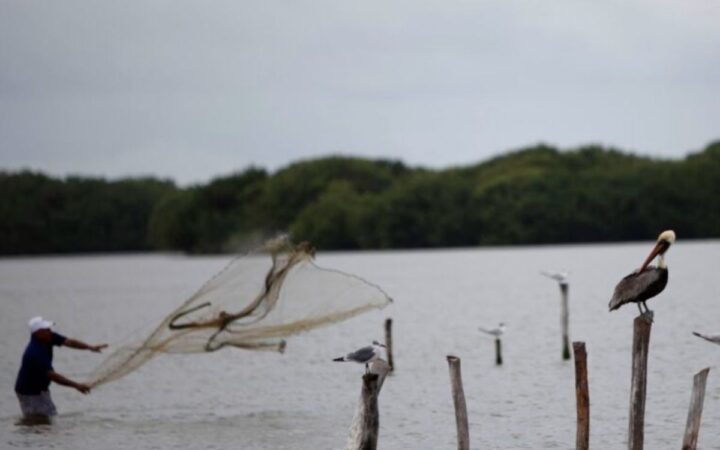 ¿Por qué el aumento del nivel del mar amenaza con desaparecer dos pueblos en Venezuela? | Mongabay