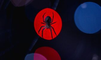 Ya hay fecha de estreno para 'Spider-Man: Brand New Day'