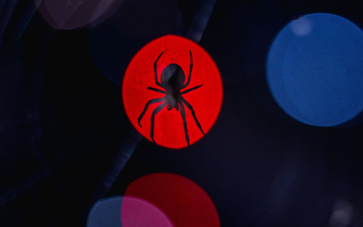 Ya hay fecha de estreno para 'Spider-Man: Brand New Day'