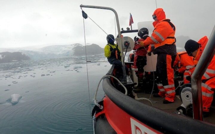 Efecto saltamontes: la crisis climática libera contaminantes del pasado atrapados en el hielo de la Antártida | Mongabay