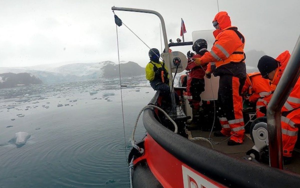 Efecto saltamontes: la crisis climática libera contaminantes del pasado atrapados en el hielo de la Antártida | Mongabay Efecto saltamontes: la crisis climática libera contaminantes del pasado atrapados en el hielo de la Antártida | Mongabay