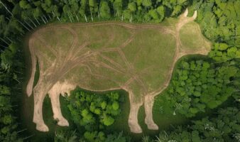 'Carne en Conflicto:'  deforestación y riesgo sanitario para México