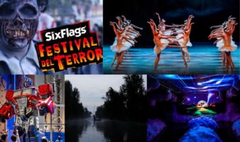 Qué hacer en CDMX este fin de semana: Festival del Terror, museos, teatro y más