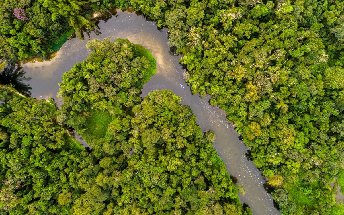 EBC Financial Group lanza programa para proteger el Amazonas con operaciones de trading EBC Financial Group lanza programa para proteger el Amazonas con operaciones de trading