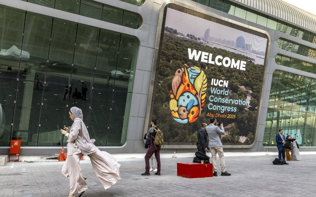 El Congreso Mundial de la Naturaleza: una fiesta de diversidad biológica y cultural | Por Julia Carabias El Congreso Mundial de la Naturaleza: una fiesta de diversidad biológica y cultural | Por Julia Carabias