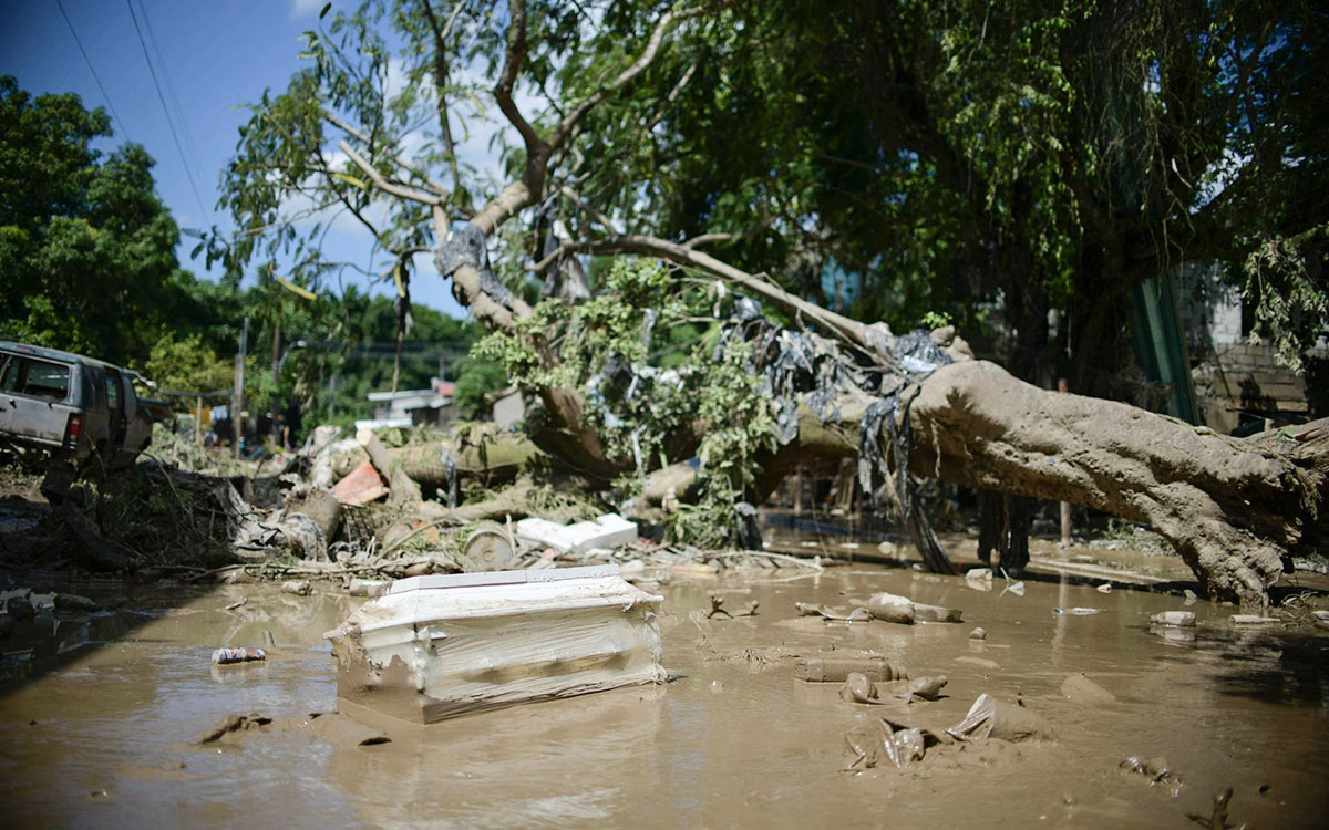 'Los sistemas de alerta temprana en México no están funcionando': Dr. Rodolfo Lacy 'Los sistemas de alerta temprana en México no están funcionando': Dr. Rodolfo Lacy