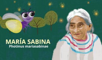 María Sabina da nombre a la nueva especie de luciérnaga descubierta en el Bosque de Chapultepec