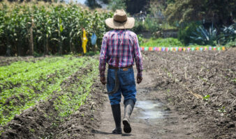 Productores evitan denunciar 'impuesto criminal' por temor a represalias, señala UNTA | Entérate