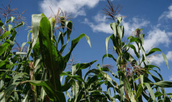 Productores agrícolas del Bajío cerrarán carreteras y casetas si no llegan a un acuerdo con el gobierno
