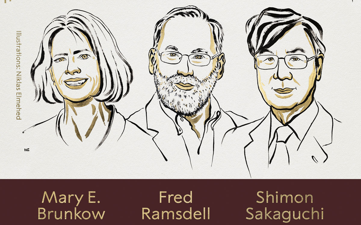 Nobel de Medicina a Brunkow, Ramsdell y Sakaguchi por la tolerancia inmunológica periférica