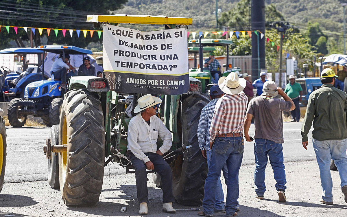 Aristegui en Vivo: Agricultores rechazan propuesta del gobierno; ¿qué pasará con los aranceles?;  Álvarez Puga, detenido (28/10/2025) Aristegui en Vivo: Agricultores rechazan propuesta del gobierno; ¿qué pasará con los aranceles?;  Álvarez Puga, detenido (28/10/2025)