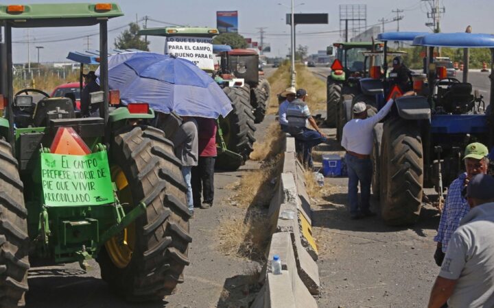 Productores de maíz activan protesta; califican como insulto oferta del gobierno Productores de maíz activan protesta; califican como insulto oferta del gobierno