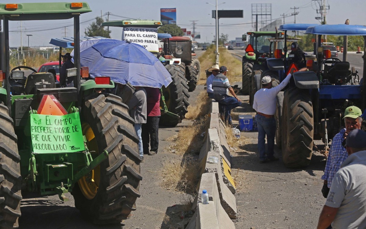 Productores de maíz activan protesta; califican como insulto oferta del gobierno Productores de maíz activan protesta; califican como insulto oferta del gobierno