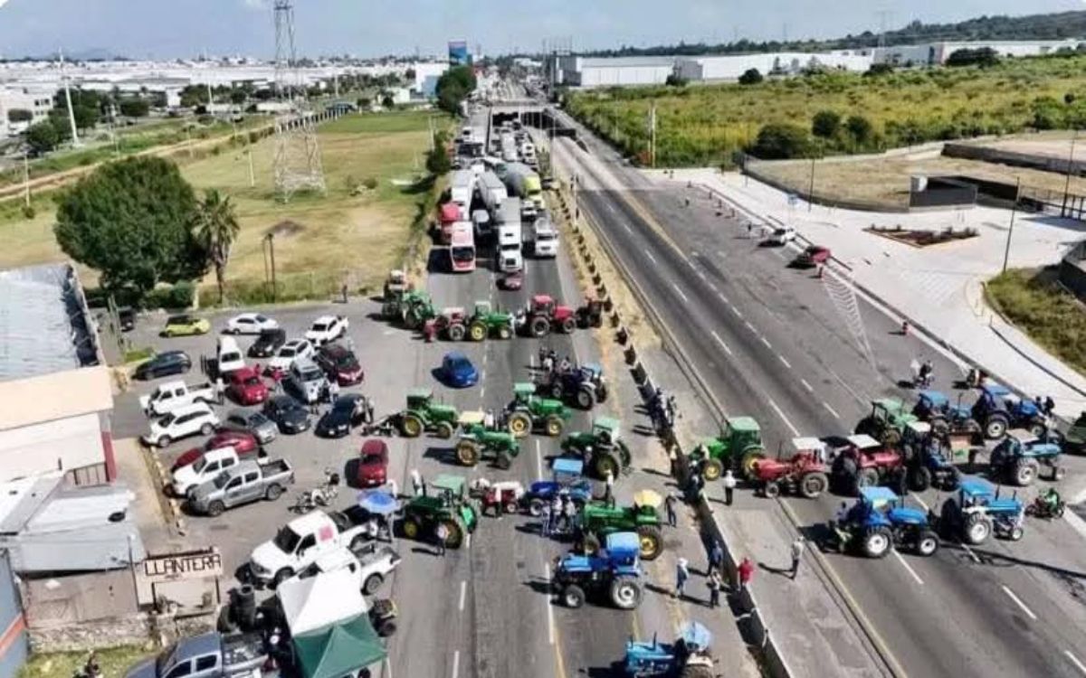 Productores de sorgo en Guanajuato mantienen presión pese a acuerdo con Sader