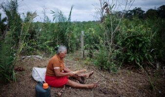 La naturaleza es política | Artículo de Ross Barrantes