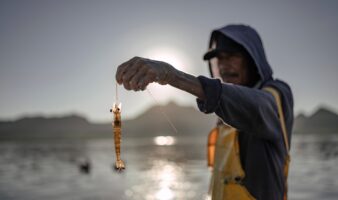 Topolobampo en emergencia: Planta de amoníaco en Sinaloa desata alerta internacional