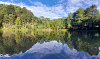 Bosques del futuro | Bosques vivos para garantizar el agua del mañana