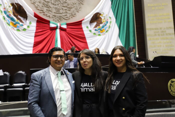 Igualdad Animal trabaja con el Congreso en favor de los animales.