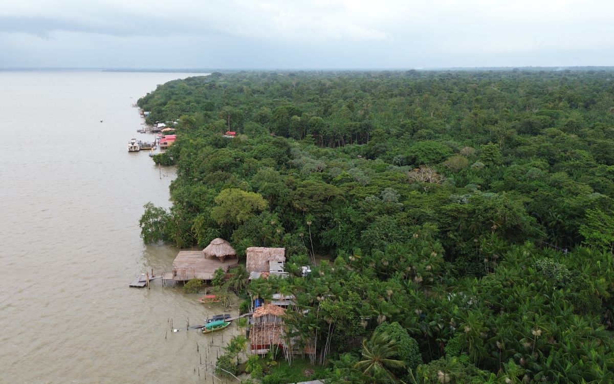 COP30 | ¿Salvarán los bosques? La paradoja de la deforestación cero sin un freno a los combustibles fósiles