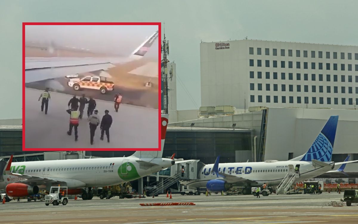 Vuelos retrasados en Guadalajara por intruso en pista de aterrizaje Vuelos retrasados en Guadalajara por intruso en pista de aterrizaje