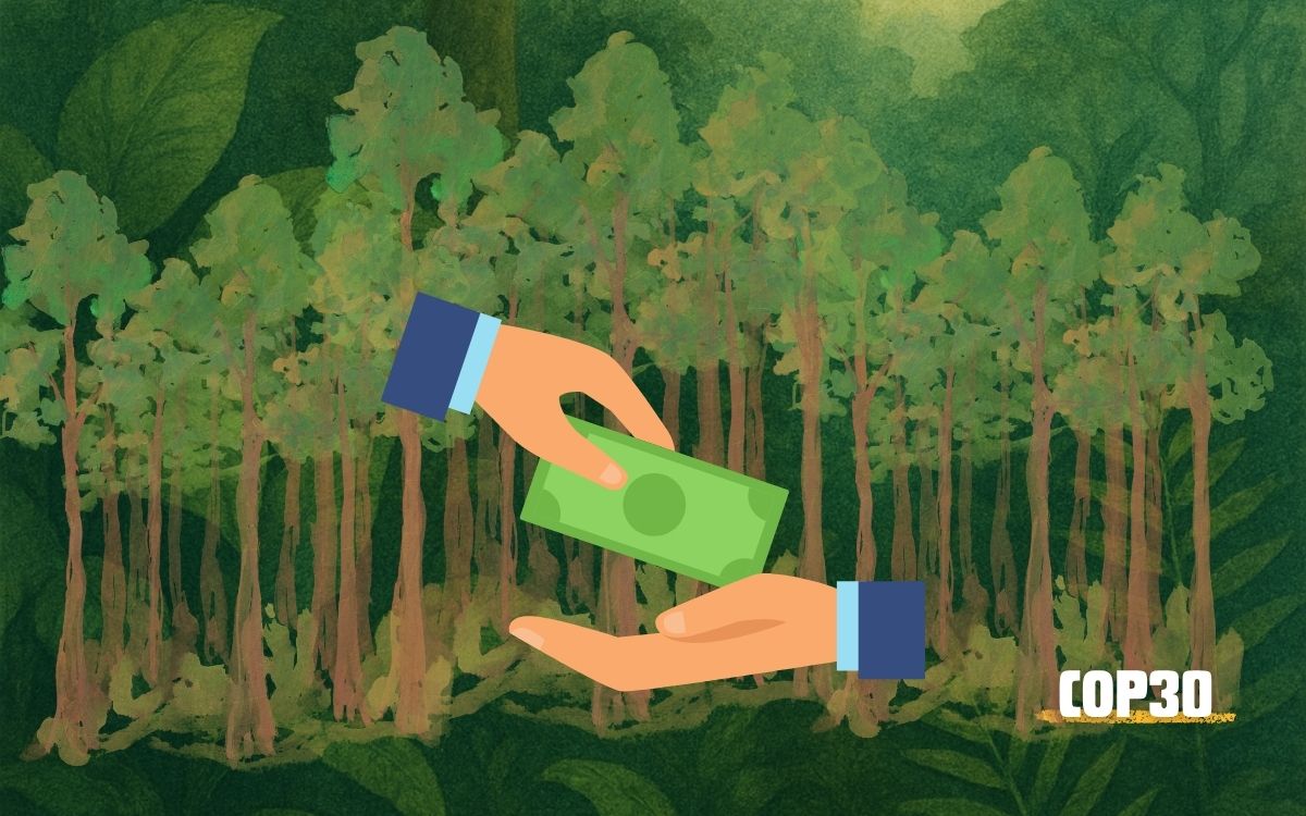 COP30 | Nace fondo histórico de 5,000 mdd para proteger bosques tropicales en 70 países COP30 | Nace fondo histórico de 5,000 mdd para proteger bosques tropicales en 70 países