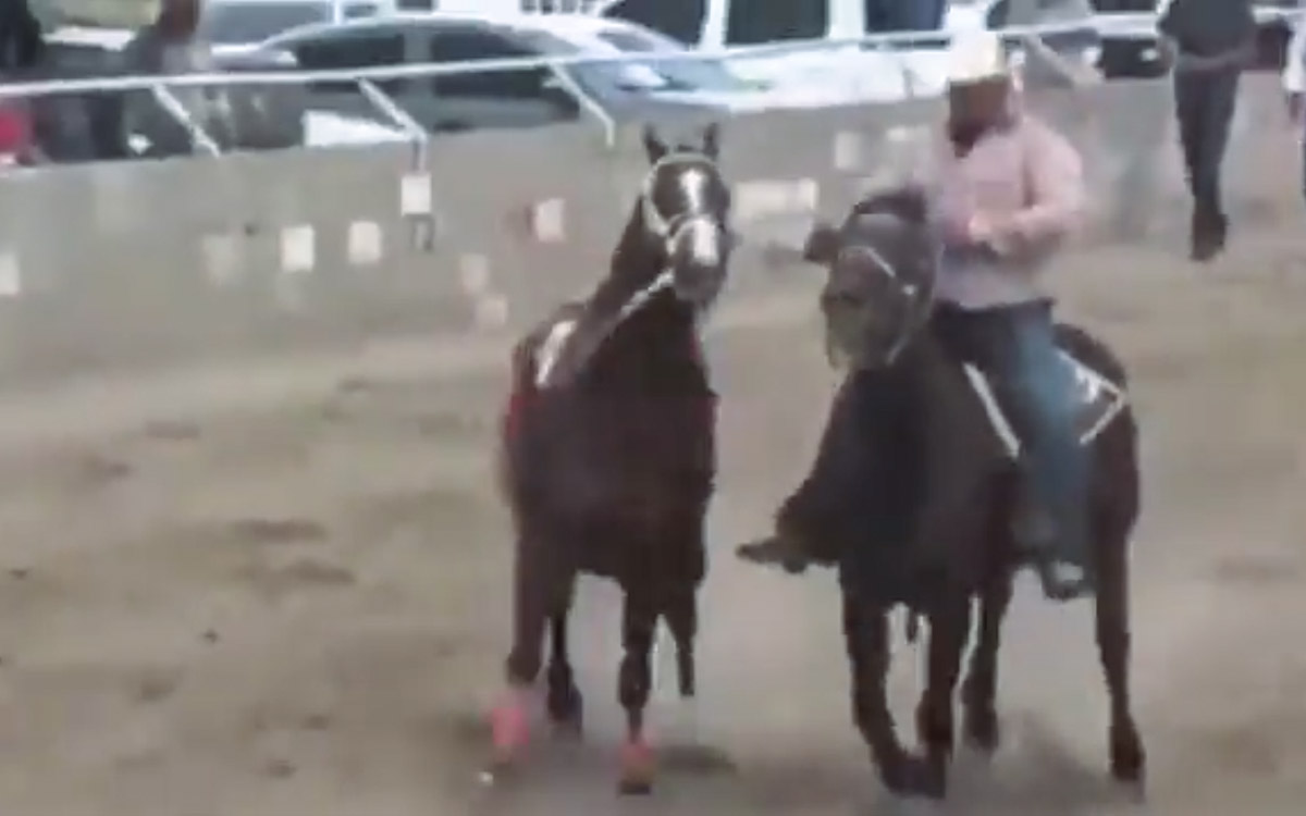 Al menos siete muertos por balacera en carrera de caballos en Parral, Chihuahua Al menos siete muertos por balacera en carrera de caballos en Parral, Chihuahua