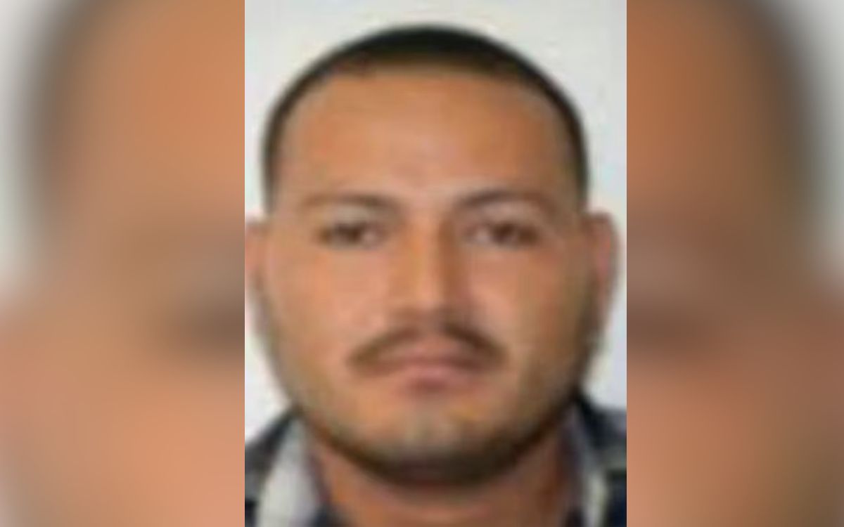 Autoridades conocían operaciones de 'El Botox' y Blancos de Troya en Michoacán desde 2021: Montenegro Autoridades conocían operaciones de 'El Botox' y Blancos de Troya en Michoacán desde 2021: Montenegro