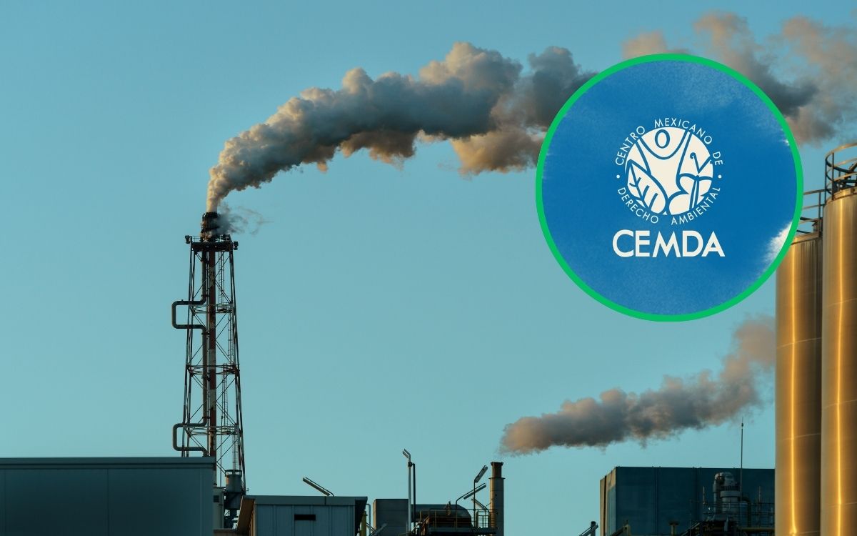 CEMDA pide a México mayor ambición y justicia climática en la COP30 | Video CEMDA pide a México mayor ambición y justicia climática en la COP30 | Video