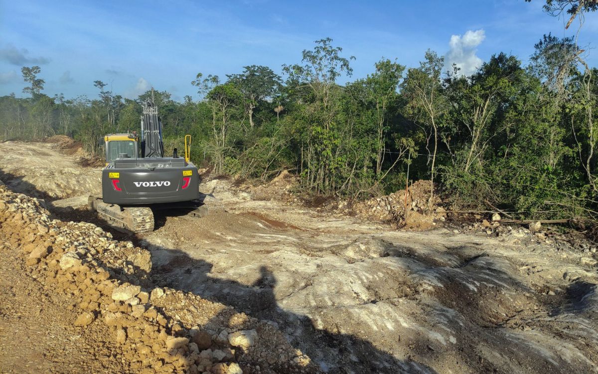 Gobierno desvió recursos para mitigar cambio climático hacia megaproyectos y Sedena: CEMDA Gobierno desvió recursos para mitigar cambio climático hacia megaproyectos y Sedena: CEMDA