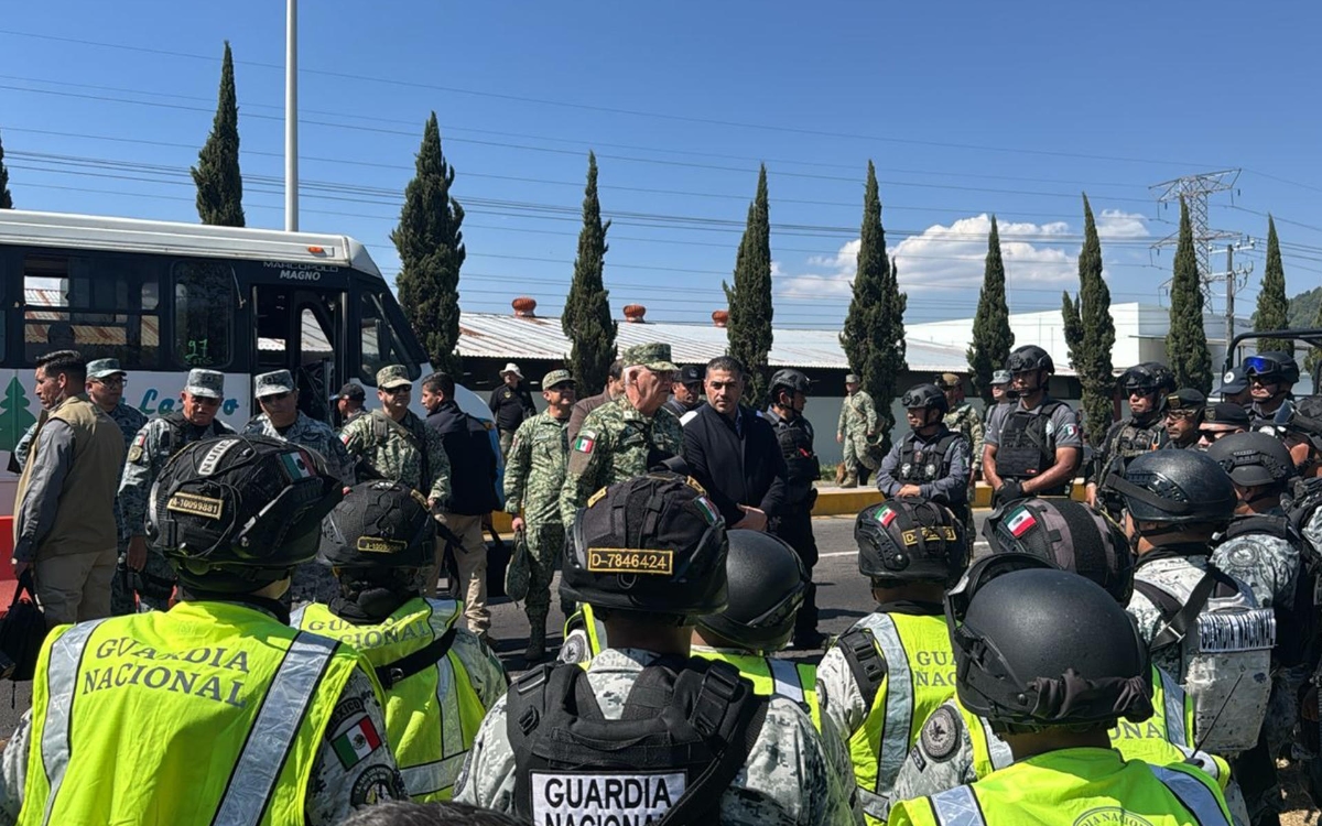 Gobierno va contra 12 cárteles en Michoacán