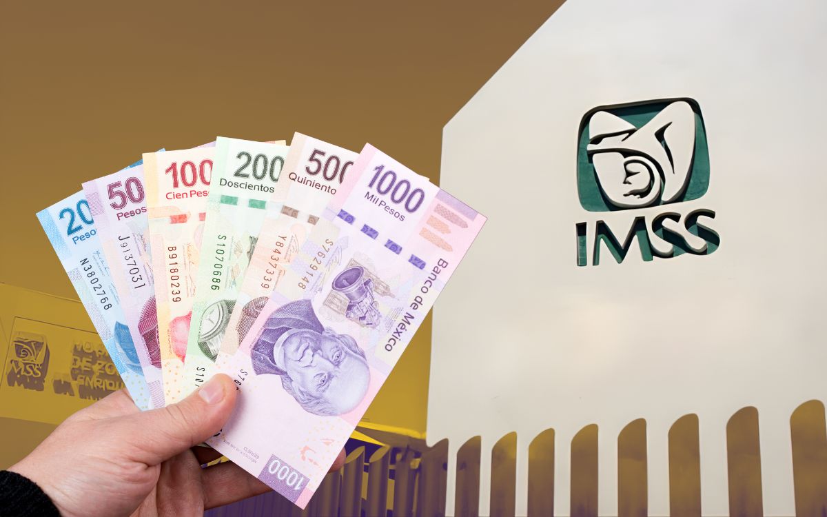 ¿Cuáles son los requisitos vigentes para acceder a una pensión bajo la ley de 1973? Especialista explica