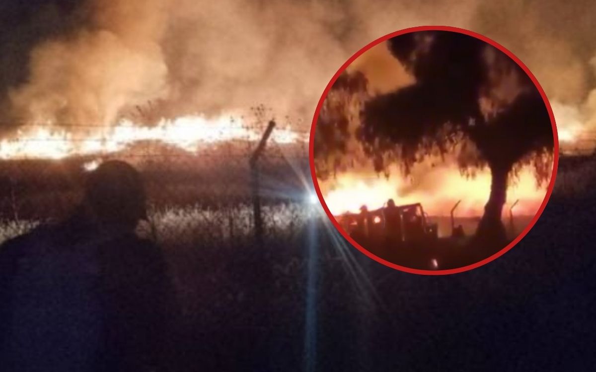 Incendio en Teotihuacán: llamas queman pastizales detrás de la Pirámide de la Luna | Video Incendio en Teotihuacán: llamas queman pastizales detrás de la Pirámide de la Luna | Video