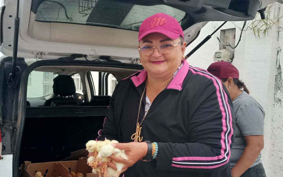 Síndica de Palizada fue asesinada horas después de mostrar su apoyo a Sheinbaum Síndica de Palizada fue asesinada horas después de mostrar su apoyo a Sheinbaum