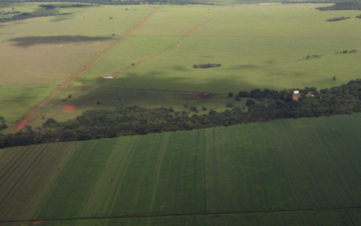 Los compromisos para reducir deforestación al 2030 aún están lejos de cumplirse | INFORME