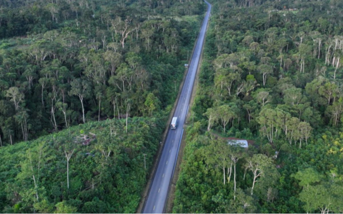 Áreas protegidas en riesgo: 830,500 kilómetros de carreteras amenazan a 3,837 reservas sudamericanas | INFORME Áreas protegidas en riesgo: 830,500 kilómetros de carreteras amenazan a 3,837 reservas sudamericanas | INFORME