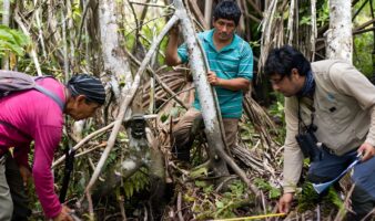 Ojos del bosque: comunidades ribereñas de Perú instalan cámaras trampa para proteger la biodiversidad del Alto Mayo