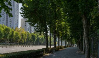 Naturaleza solo para ricos: ¿Qué es el 'efecto lujo' que muestra la brecha ecológica que divide a las ciudades?