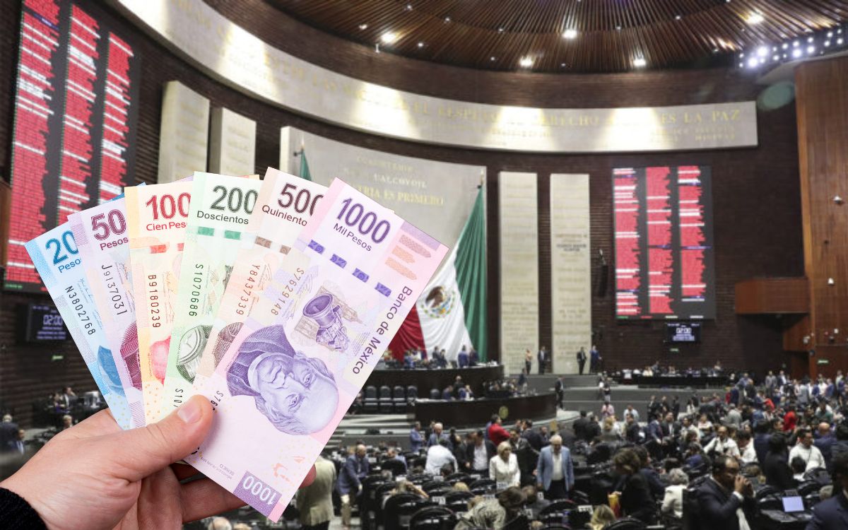 Presupuesto 2026: Recortes al Poder Judicial y aumentos en educación, ciencia y tecnología Presupuesto 2026: Recortes al Poder Judicial y aumentos en educación, ciencia y tecnología