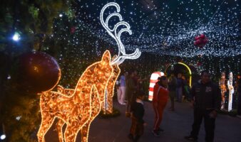 Estados Unidos buscaría detener a migrantes que intenten volver a  México a pasar Navidad, según medios