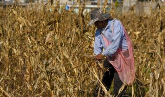 Pagar agua a Estados Unidos causaría 'mucha hambre' a la región fronteriza de México: Agroindustriales