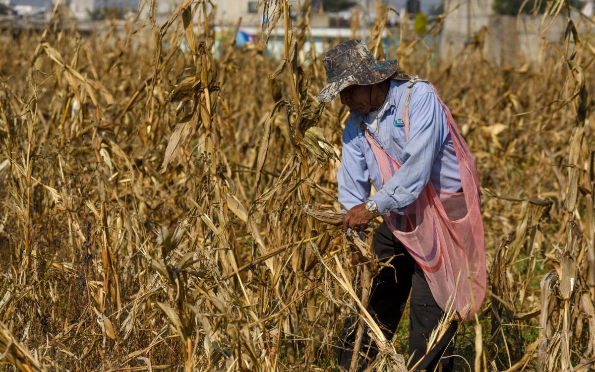 Pagar agua a Estados Unidos causaría 'mucha hambre' a la región fronteriza de México: Agroindustriales Pagar agua a Estados Unidos causaría 'mucha hambre' a la región fronteriza de México: Agroindustriales