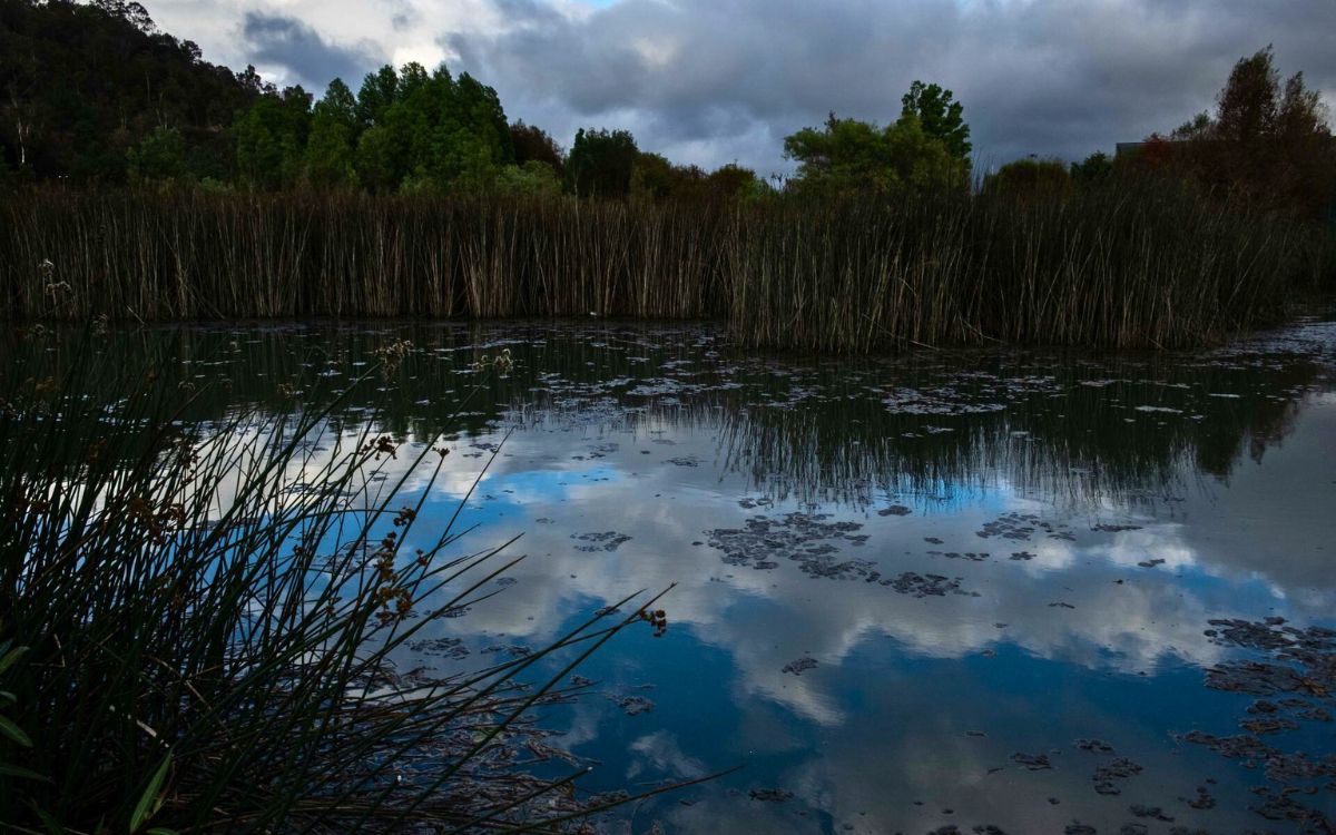 México apuesta por la conservación comunitaria para alcanzar el 30% de territorio protegido en 2030